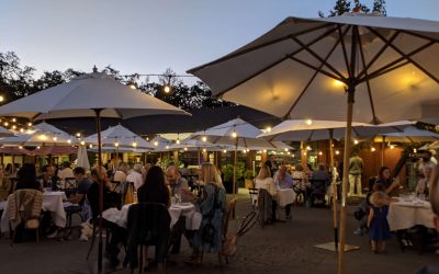 5 Reasons to Become a Mystery Shopper