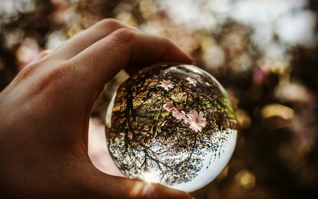 Financial Planning for Restaurant Success: Budgeting and Forecasting for the Year Ahead