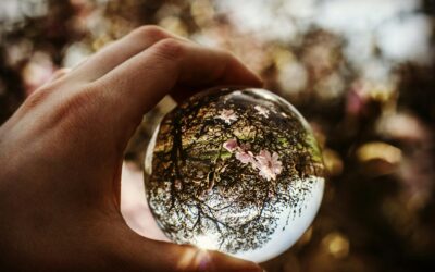 Financial Planning for Restaurant Success: Budgeting and Forecasting for the Year Ahead