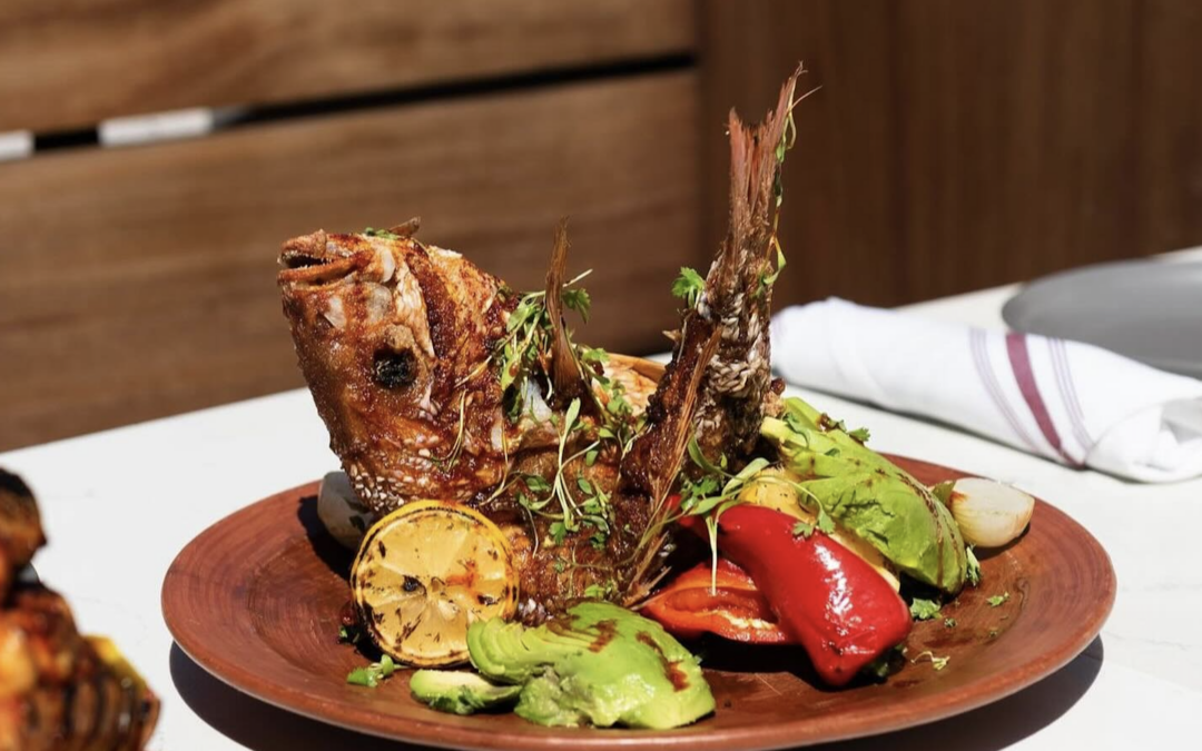 Celebrating Slow Food: Highlighting Your Menu’s Alignment