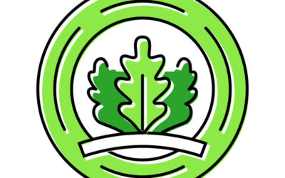Earth Day Blog Series: What You Need to Know About Green Restaurant Certifications